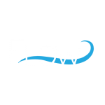Flow Immersive