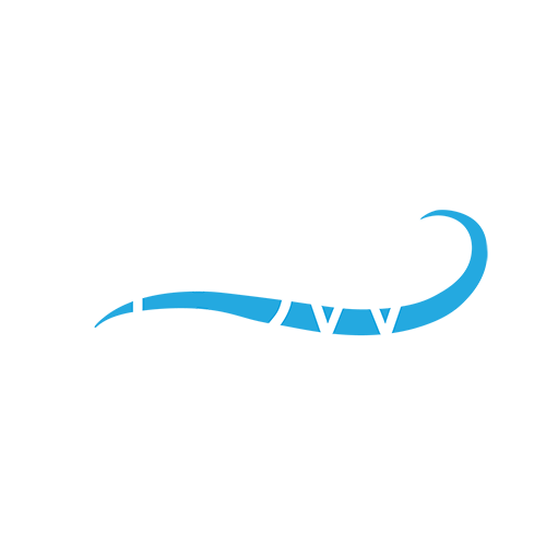 Flow Immersive profile pic