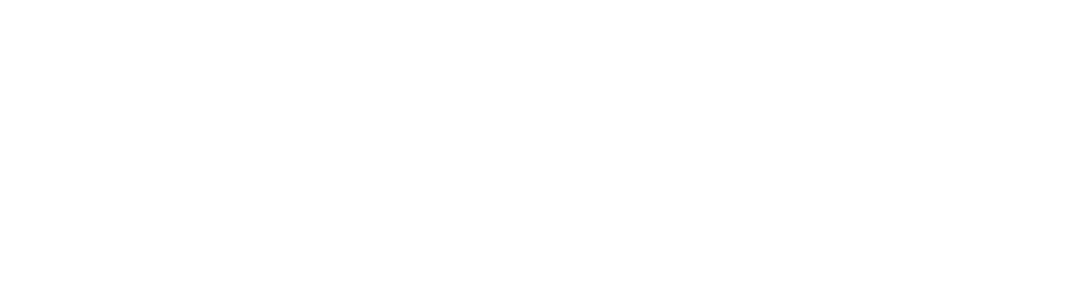 Silicon Harlem