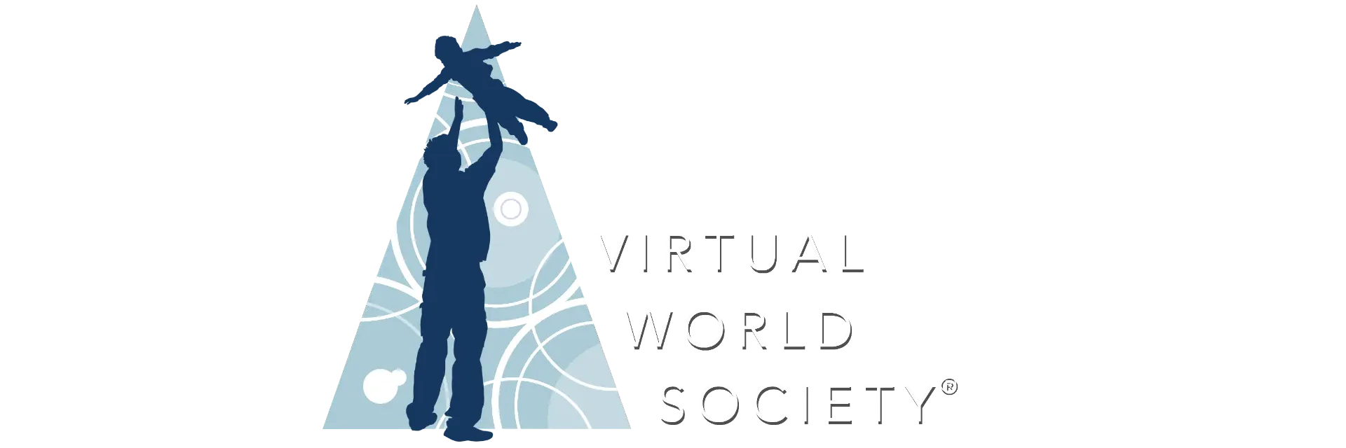 Virtual World Society